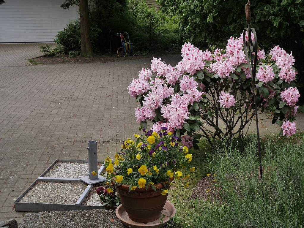 Kuekenkamp Frühstückspension Rätzlingen